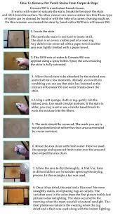 Pin On How To Clean Things