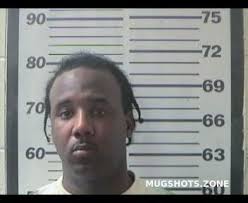 WILLIAMS DARIUS SHANDREZ 09/17/2022