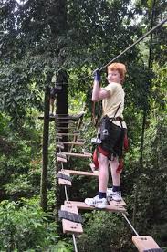 Skytrex adventure is located 3 km inside the 817 hectares forest of taman botani negara shah alam, only 40 minutes drive from the city centre of kuala lumpur and is accessible via the many highways to shah alam. Swinging Planks Picture Of Skytrex Adventure Shah Alam Tripadvisor