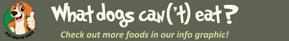 The spices that give it that kick could be harmful to your pet's stomach. Can Dogs Eat Mustard Or Is It Really Dangerous To Dogs