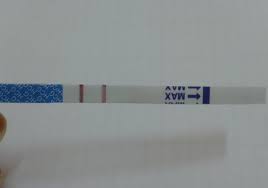 O teste de gravidez de farmácia ou de sangue é orientado caso você tenha tido relações sexuais sem proteção — ou com proteção incorreta — e esteja com um atraso na menstruação. Positivo Ou Negativo Gravidez Assuntos Gerais Teste De Gravidez Positivo Teste De Gravidez Teste Gravidez