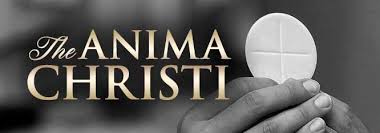 Maybe you would like to learn more about one of these? The Anima Christi Our Lord Jesus Christ Prayers And Novenas