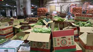 【北農嚴選】有機蔬菜澎湃禮箱 【北農嚴選】產銷履歷蔬菜箱 【北農嚴選】頂級鳳梨3.6公斤 (2粒入) 【北農嚴選】精選鳳梨2.5公斤(2粒入) Ap7xqrdx 9jx2m