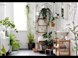 Exhibit family photos gallery style in a long hallway or spice up your kitchen storage with wall mounted shelves for spices and jars. Bathroom Plants Ideas Best Bathroom Plants That Suit Your Bathroom Youtube