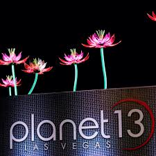 Gaia is a flower, plant and gift shop in las vegas' downtown arts district specializing in sustainably grown flowers and desert accents arranged in pots. Planet 13 The World S Largest Cannabis Dispensary Is In Las Vegas The Verge