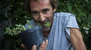 Tough and Tasty: Recasting a Resilient Weed as a Wild Edible