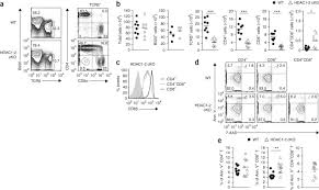 Nilai fpb merupakan nilai bilangan yang sama dan memiliki pangakat yang lebih kecil. Cd4 T Cell Lineage Integrity Is Controlled By The Histone Deacetylases Hdac1 And Hdac2 Nature Immunology
