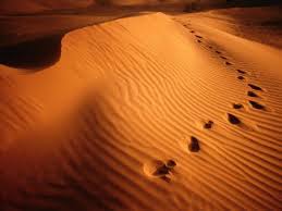 Footprints In Rippled Red Sand Of Perry Sand Dunes Near Mildura New South Wales Australia Photographic Print Dallas Stribley Allposters Com Mildura New South Wales Australia