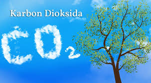 Kali ini pakdosen akan membahas tentang lapisan atmosfer? Pengertian Karbon Dioksida Manfaat Dampak Sifat Peranan