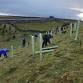 Tree and hedge planting - Bowlees Visitor Centre, Bowlees, Newbiggin Event Image