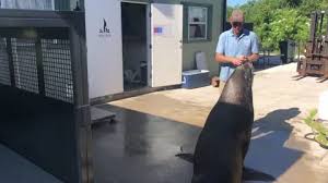 Andrea Nace - Associate Veterinarian at Assiniboine Park Zoo ...