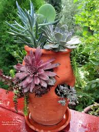 To grow strawberries in a pot, start by purchasing a starter plant or a runner from a nursery, along with a pot that's 16 to 18 inches wide and 8 inches deep. 5 Strawberry Pot Planter Ideas Flowers Herbs And Vines