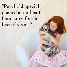 Even if you had been through this traumatic experience, it is hard to know exactly what to say when someone loses a pet and what to say to make him feel better. Sympathy Messages For Pet Loss Pet Loss Sayings Wishes Messages Sayings
