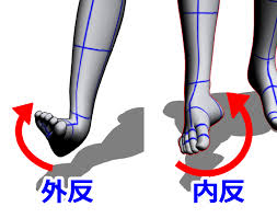 トレランで起こった足首の外反捻挫 | 宇都宮市岡本の根本整体 鍼灸接骨院トレス