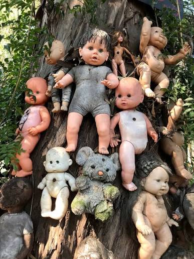 The Island of the Dead Dolls – La Isla de las Muñecas