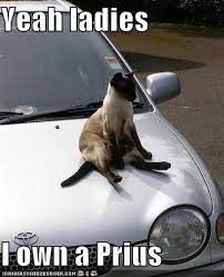 21 I Love Toyota Ideas Toyota Carrollton Lewisville