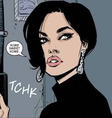 Other] Anyone know what Comic this is from ? is that Selina Kyle ? 🖤 :  r/DCcomics
