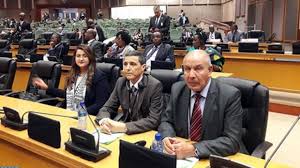 The pap exercises oversight, and has advisory and consultative powers, lasting for the first five years. Africa Refugees Morocco Polisario Cross Swords At Pan African Parliament In Midrand Sahara News