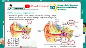 Jawaban Soal Pilihan Ganda Uji Kompetensi Bab 10 Ipa Kelas 8 Sem 2 Hal 160 Youtube