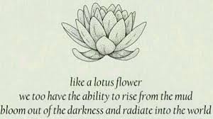 Name lotus came from ancient latin word lotus and from there it made it into many different languages and cultures. Lotus Flower And Its Meaning Amp Symbolism