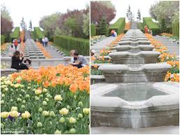 Maybe you would like to learn more about one of these? Tulip Festival At Thanksgiving Point Lehi Ut Taste And Tell