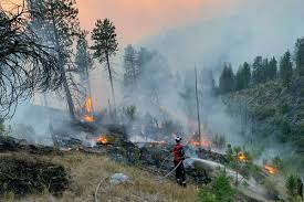 Alberta Fire Ban 2024 | Kirazlidis.Com
