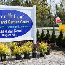 Check spelling or type a new query. The Best 10 Nurseries Gardening In St Catharines On Last Updated July 2021 Yelp