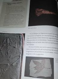 Ciencias naturales 5 bona en movimiento. Se Parecian A Algun Organismo Que Conoceses De Ciencias Naturales Pagina 54 Ayudaa Brainly Lat
