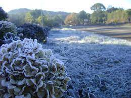 Geada é a formação de uma camada de cristais de gelo sobre plantas ou sobre outras superfícies também ocorre geada quando a água existente no ar sublima (passa do estado gasoso direto para o. Rio Grande Do Sul Pode Ter Geada Nos Proximos Dias Alertam Defesa Civil E Inmet Rio Grande Do Sul G1