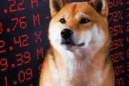 Social media users and some cryptocurrency observers expect the dogecoin dogecoin is highly speculative, with the potential to lose all of its value in an extended bear market. Can Dogecoin Reach 100 Doge Traders Rally To New Highs Amid 13 000 Gains This Year City Business Finance Express Co Uk