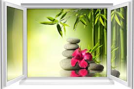 Bambus pflanzen werden in deutschen gärten immer beliebter. Wandtattoo Wandbild Fenster Zen Wellness Spa Bambus Blute Steine Wohnzimmer Deko Medianlux Shop