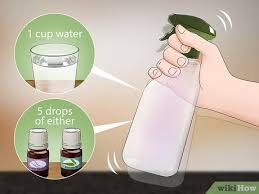 How To Kill Fleas Naturally With Pictures Wikihow