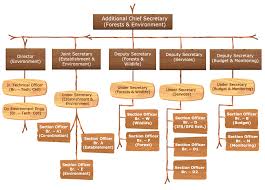 Organization Structure Forest And Environment Department
