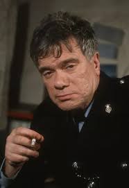 Heartbeat cast now 31 years since TV debut