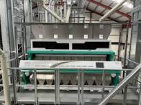 Chia Seeds Optical Color Sorting Machine From Wenyao Factory Located in Hefei City