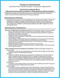 Outstanding Keys To Make Most Attractive Business Owner Resume Business Resume Template Consulting Business Business Resume