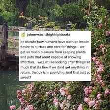I Keep Meaning To Make But End Up Getting Distracted And Forget It S Something I Want To Do Cute Whol Pretty Words Beautiful Words Hillside Garden