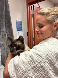 More people needed to help animals in need