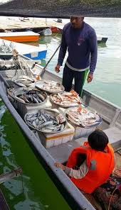 956 likes · 168 talking about this. Maafsebut Pasar Terapung Kat Pengkalan Datu Di Tumpat Facebook