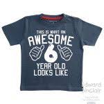 Birthday Shirt Ideas For 6 Year Old Boy 7 Cute Ideas For A 6 Year Old Birthday Shirt Birthday Shirts Birthday Boy Shirts 6th Birthday Boys