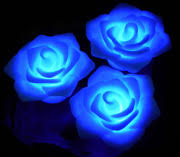 Water Garden Lights And Pond Lights Everything Ponds Com