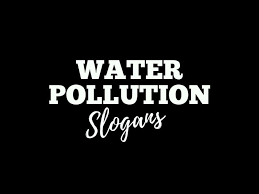 Clean and have you ever wondered what the effects of water pollution on the environment really are? 176 Catchy Water Pollution Slogans Thebrandboy