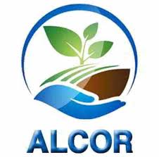 Diagnostics Immobiliers Vente Et Location Alcor France