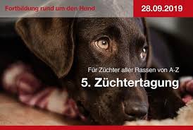 Gentest vorhanden (verfügbar bei laboklin). Erbkrankheiten Beim Hund Grundlagen Der Genetik Hunderunden