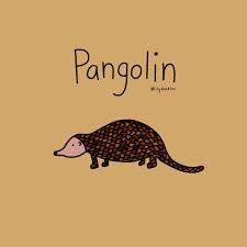Pangolin Pangolin Cute Cartoon Art