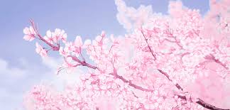 Pink sakura tree wallpaper, sunset, fantasy art, lava, trees. Anime Aesthetic Gif Anime Aesthetic Cherry Blossom Novocom Top