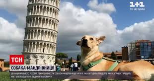 Трк «україна» є одним з провідних національних телеканалів країни, що віщає найактуальніші і об'єктивні новини на сьогодні онлайн, розповідають про трк «україна» та інших телеканалах, огляд програм і проектів, анонс. Nop1tmebblsj M