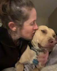 👩🏼‍🔬Lillian,👨🏼‍💻Jack,🦮Remi (@inconceivablyflagstaff) • Instagram  photos and videos