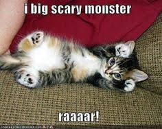 Great dog rescue story with a happy ending! 52 Best Funny Puppy And Kitten Quotes Ideas Funny Animals Cute Animals Funny Animal Pictures
