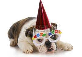 Birthday Puppy English Bulldog Wearing Party Hat And Silly Cartoon Cat And Dog English Bulldog Bulldog